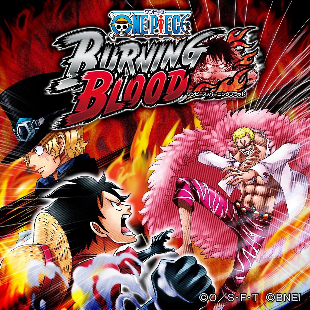 ONE PIECE BURNING BLOOD Welcome Price!!（PS4®版）