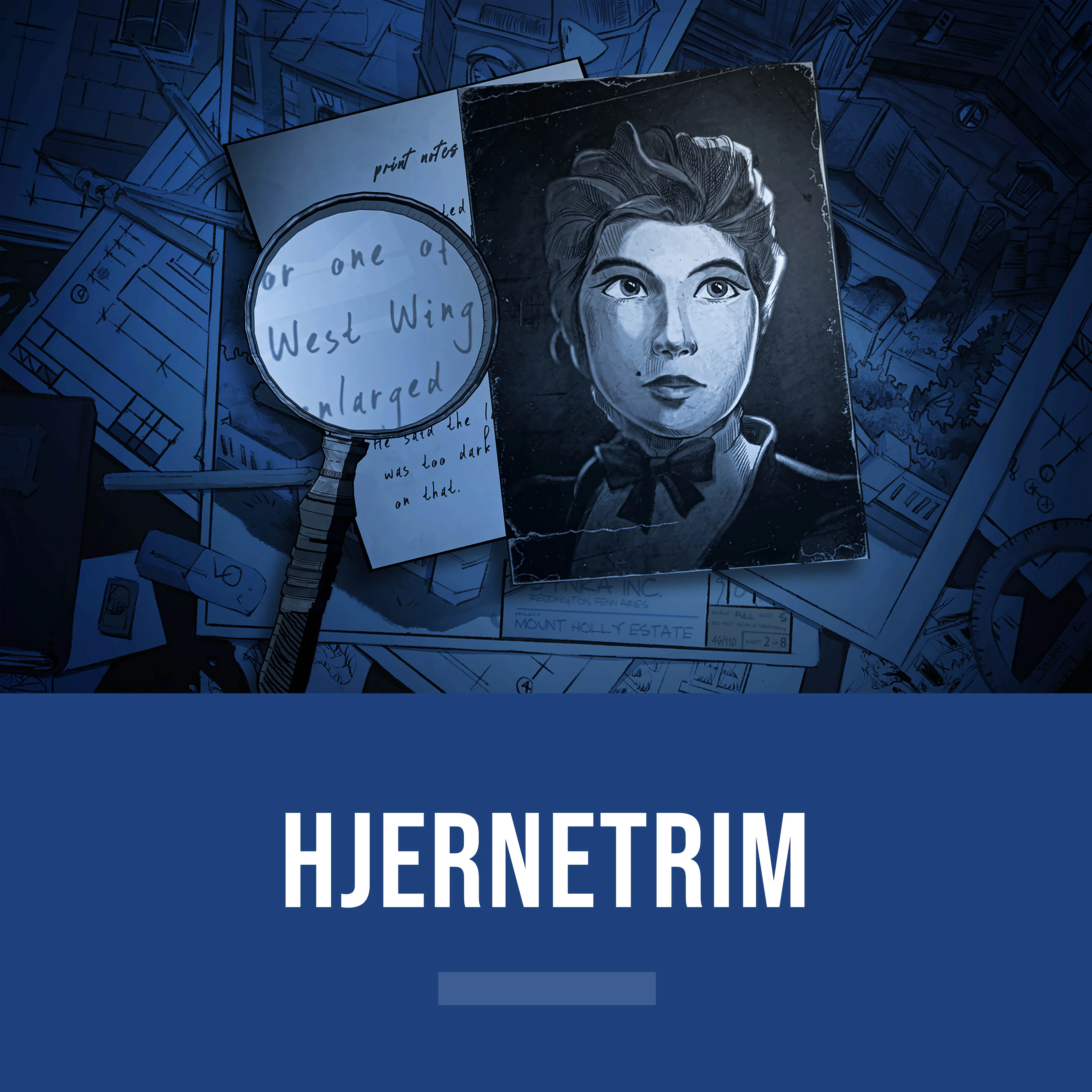 Hjernetrim