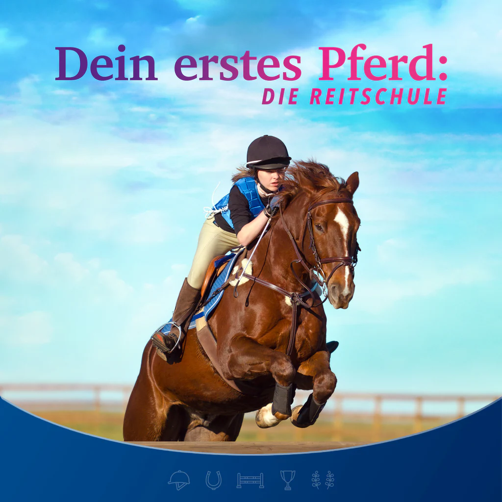 Equestrian Training