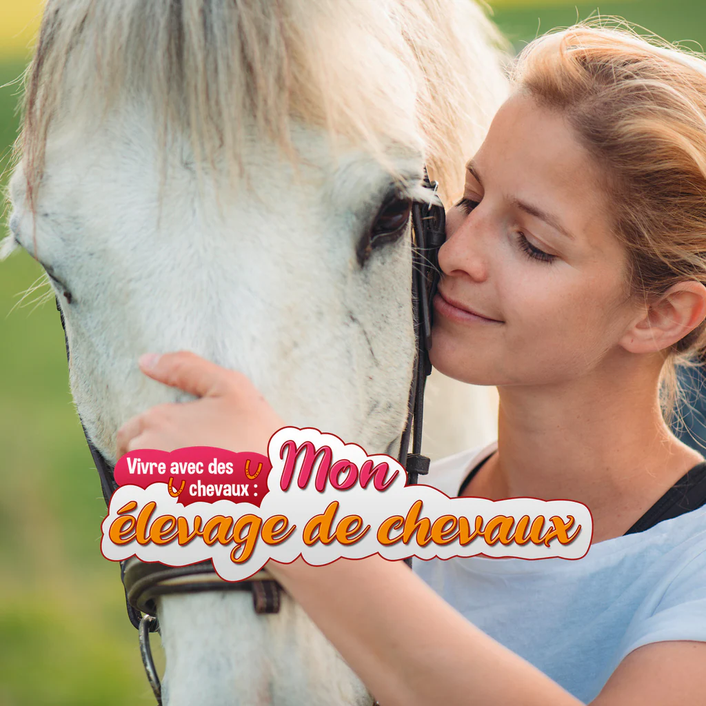 Vivre avec des chevaux : mon élevage de chevaux