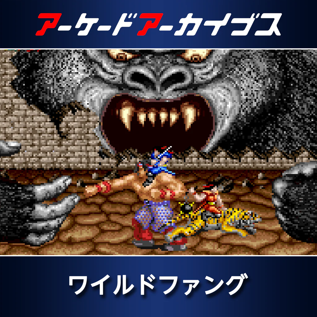 アーケードアーカイブス ワイルドファング