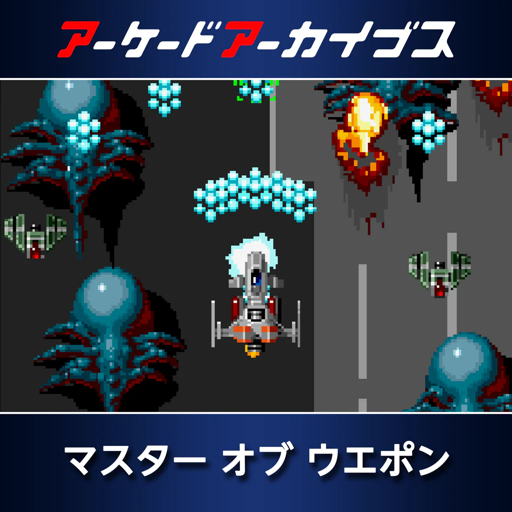 アーケードアーカイブス マスター オブ ウエポン