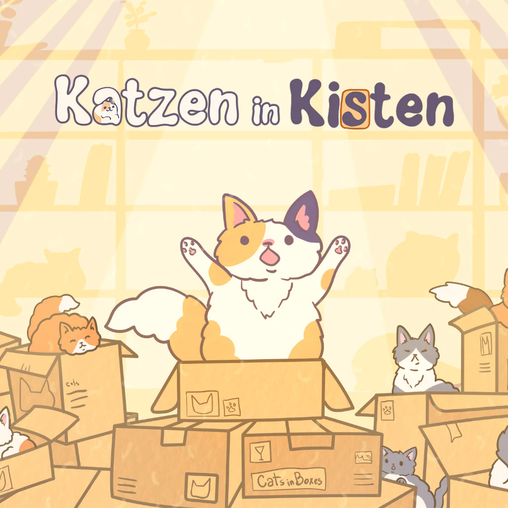 Katzen in Kisten