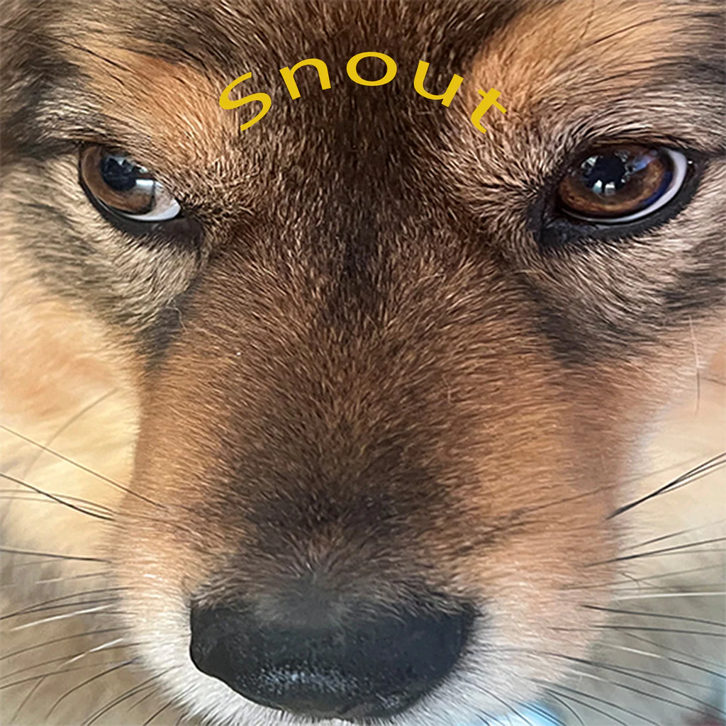 Snoot Booper (Simplified Chinese, English, Korean, Japanese, Traditional Chinese)
