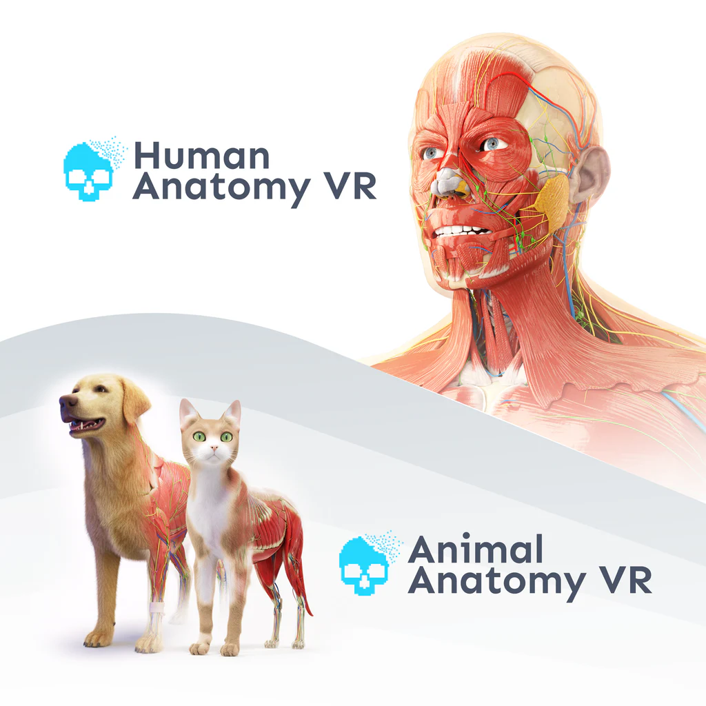 Anatomy VR Bundle (Simplified Chinese, English, Korean, Japanese)