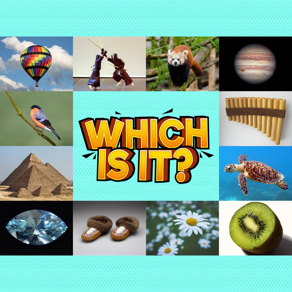 Welches ist es?