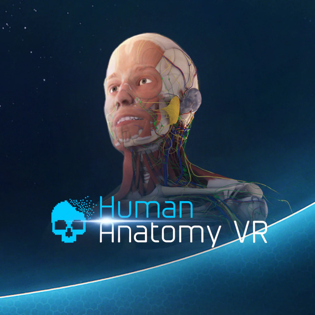 Human Anatomy VR (English)