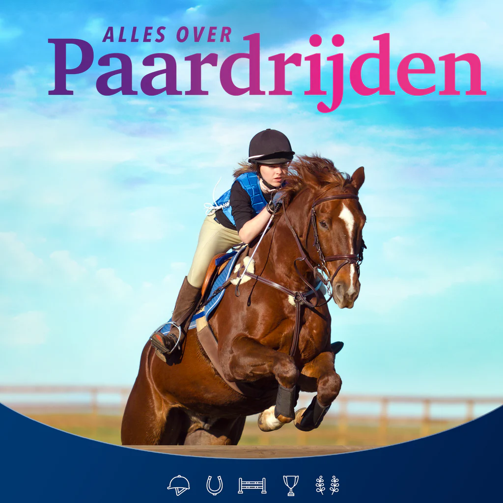 Equestrian Training (Ruitertraining)