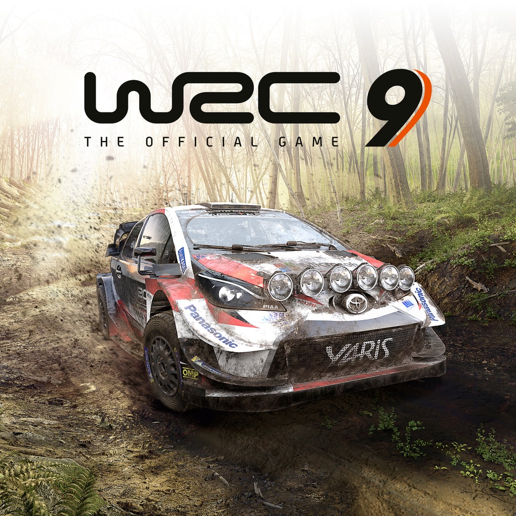 WRC9 FIA World Rally Championship